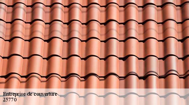 entreprise-de-couverture-ollmann-samuel-5